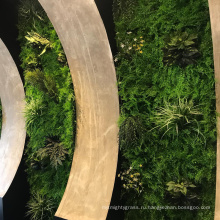 Подгонянный крытый водонепроницаемый зелени искусственные растения стены с листвой